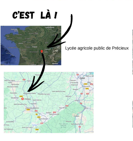 cartes pour savoir où est Précieux
